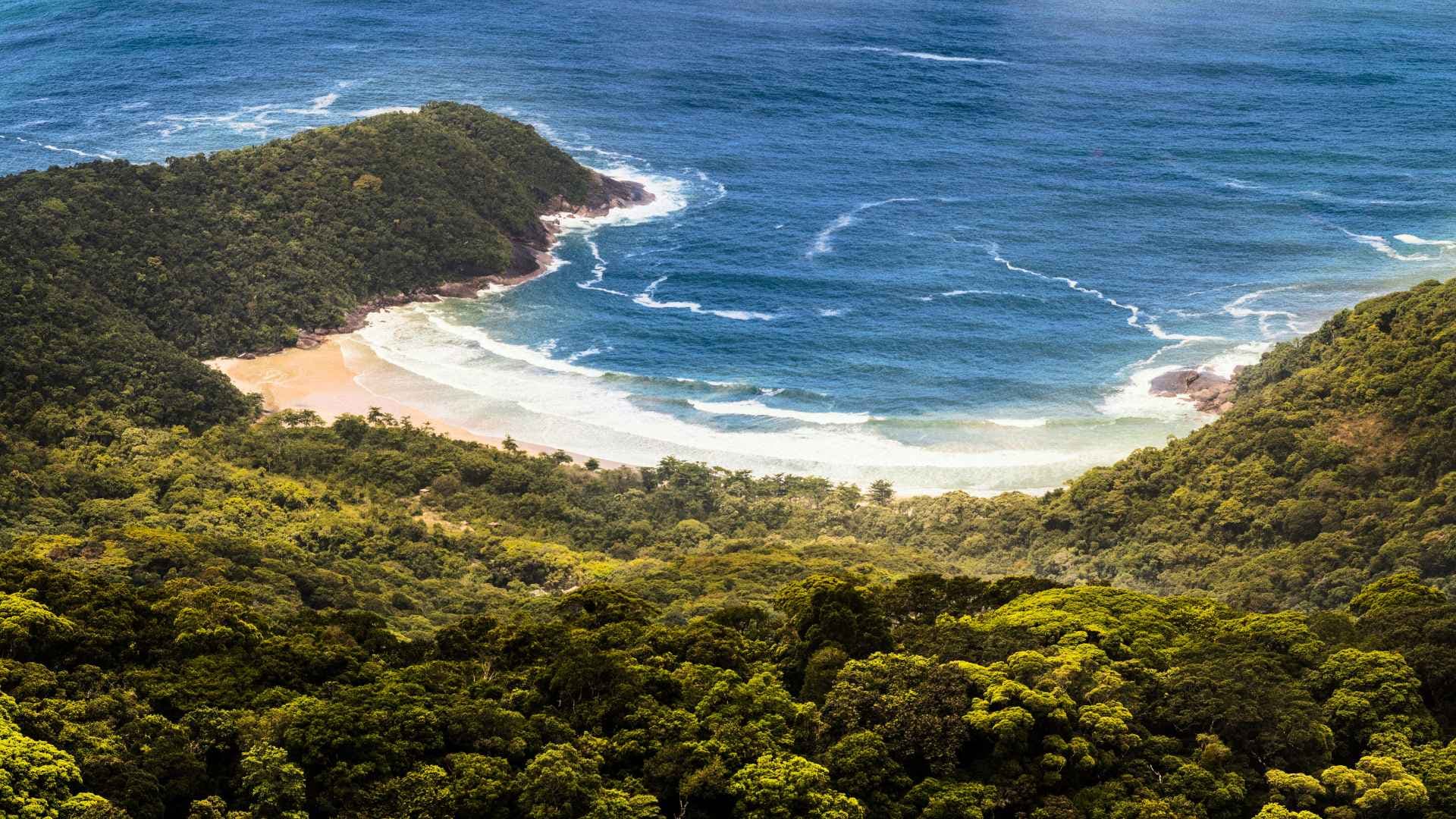 saco do mamamguá na reserva da juatinga - trilhas em paraty - rj