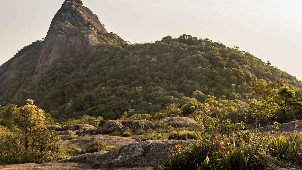 Pico do Lopo Noturno Gastronômico